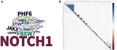 Genomic signatures and prognosis of advanced stage Chinese pediatric T cell lymphoblastic lymphoma by whole exome sequencing